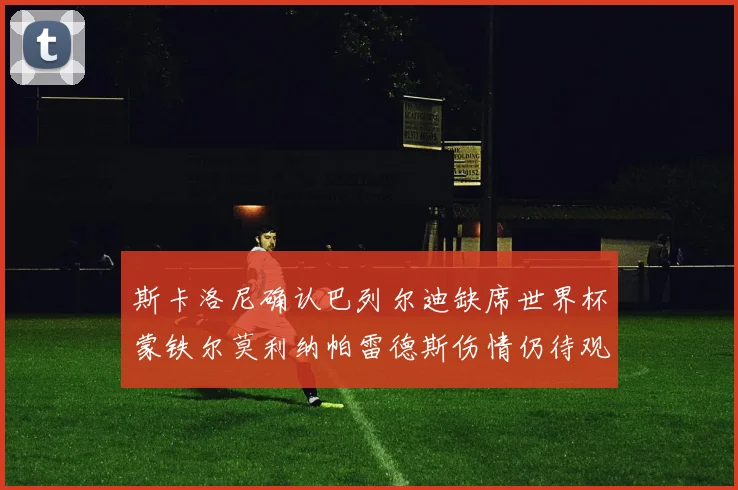 斯卡洛尼确认巴列尔迪缺席世界杯蒙铁尔莫利纳帕雷德斯伤情仍待观察